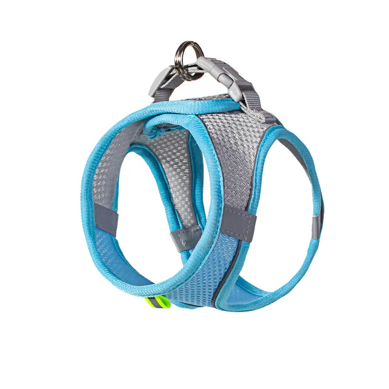 Ensemble harnais ajustable pour chiot et chat