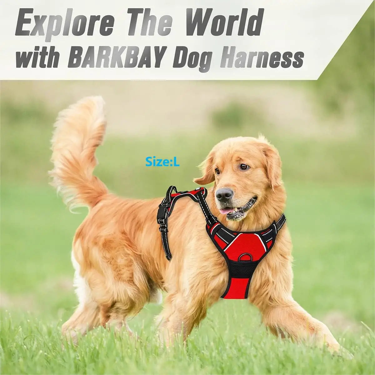 Harnais anti-traction réfléchissant avec poignée pour chien