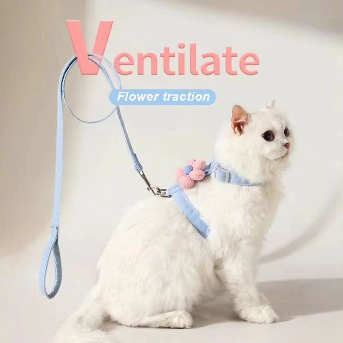 Ensemble harnais et laisse pour chat et petit chien