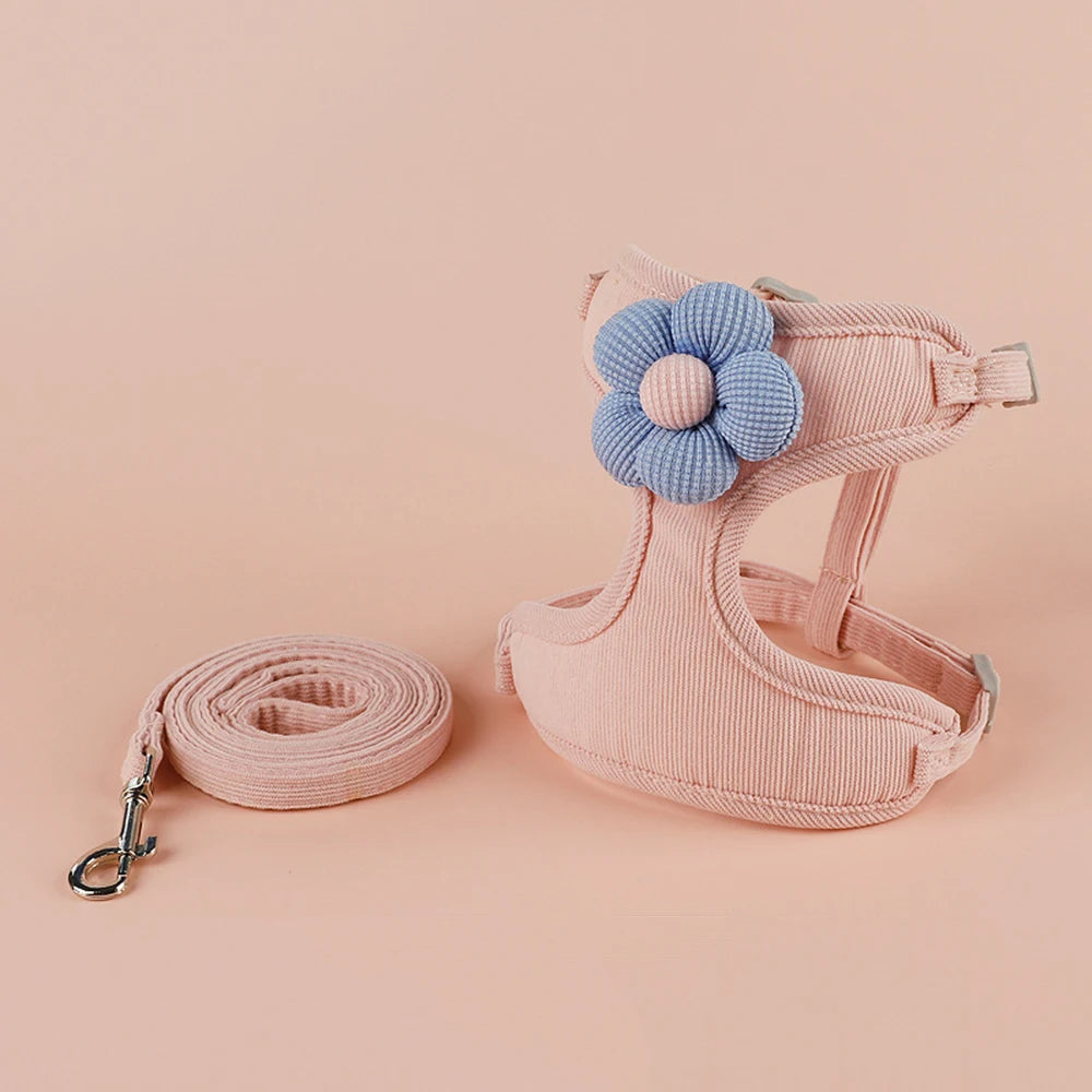 Ensemble harnais et laisse pour chat et petit chien