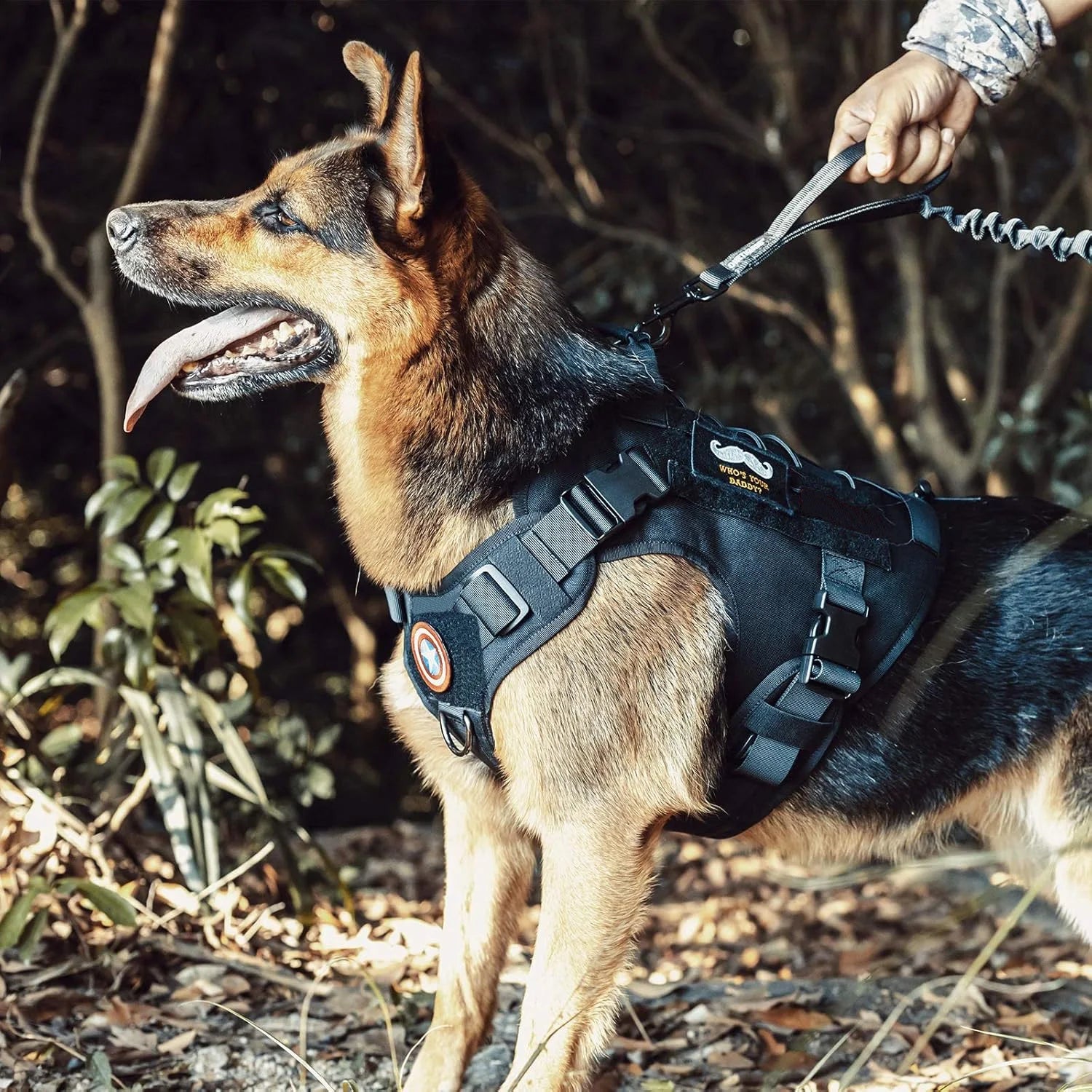 Harnais tactique avec poignée pour chien
