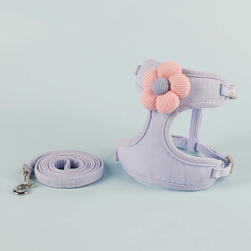 Ensemble harnais et laisse pour chat et petit chien