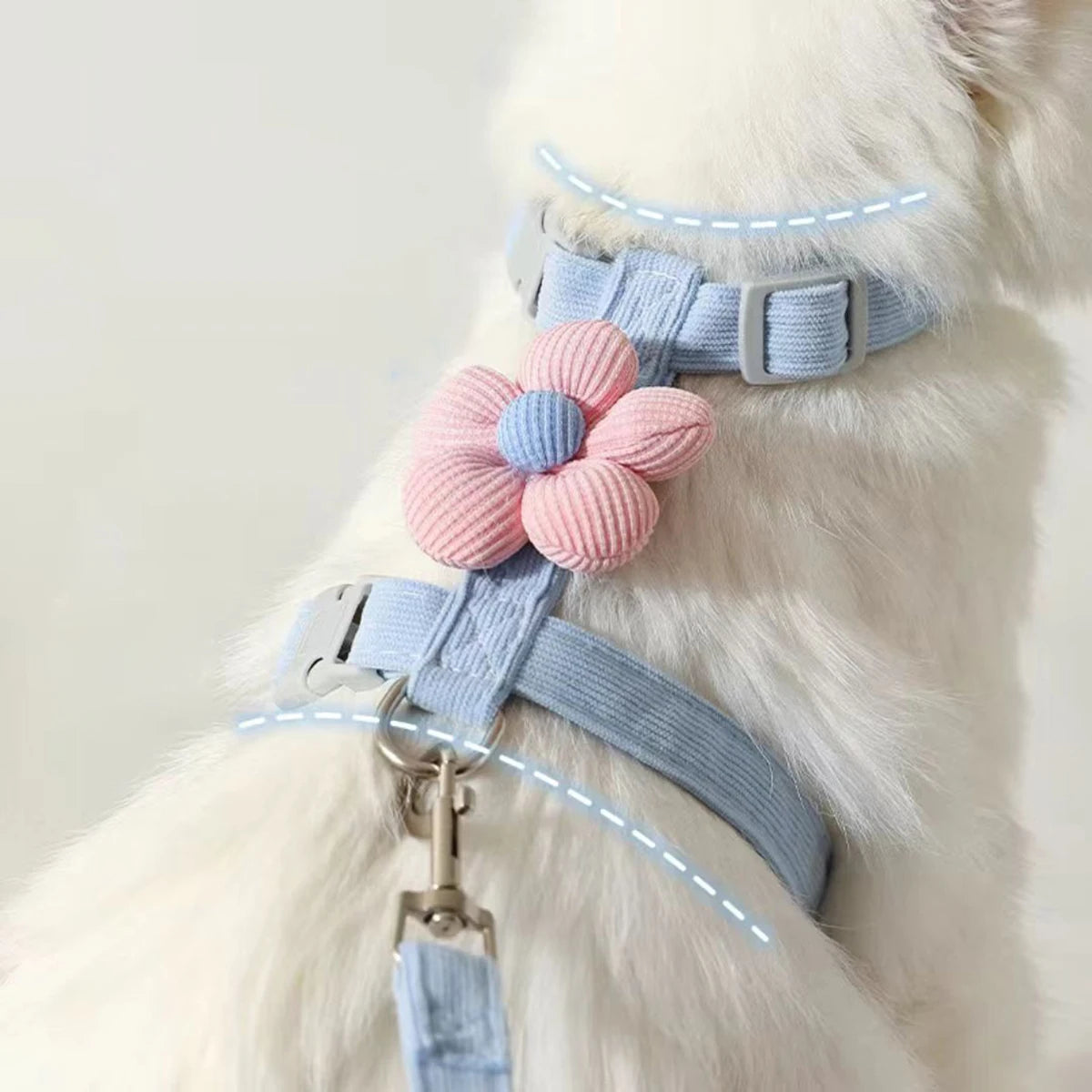 Ensemble harnais et laisse pour chat et petit chien