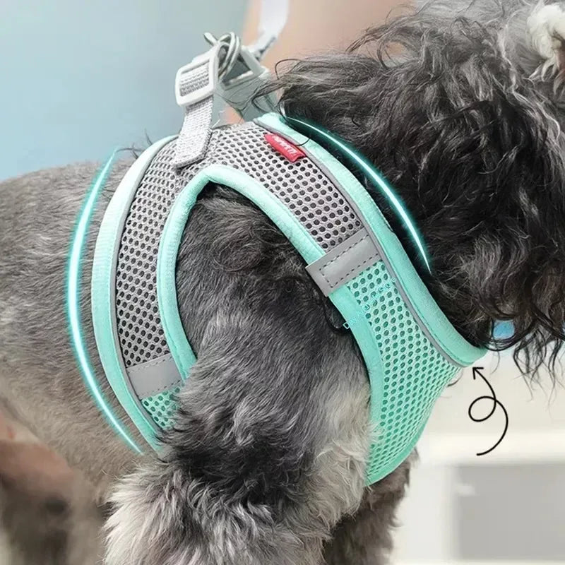 Ensemble harnais ajustable pour chiot et chat