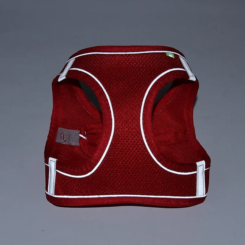 Ensemble harnais ajustable pour chiot et chat