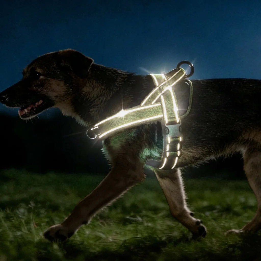 Harnais tactique anti-traction pour grand chien
