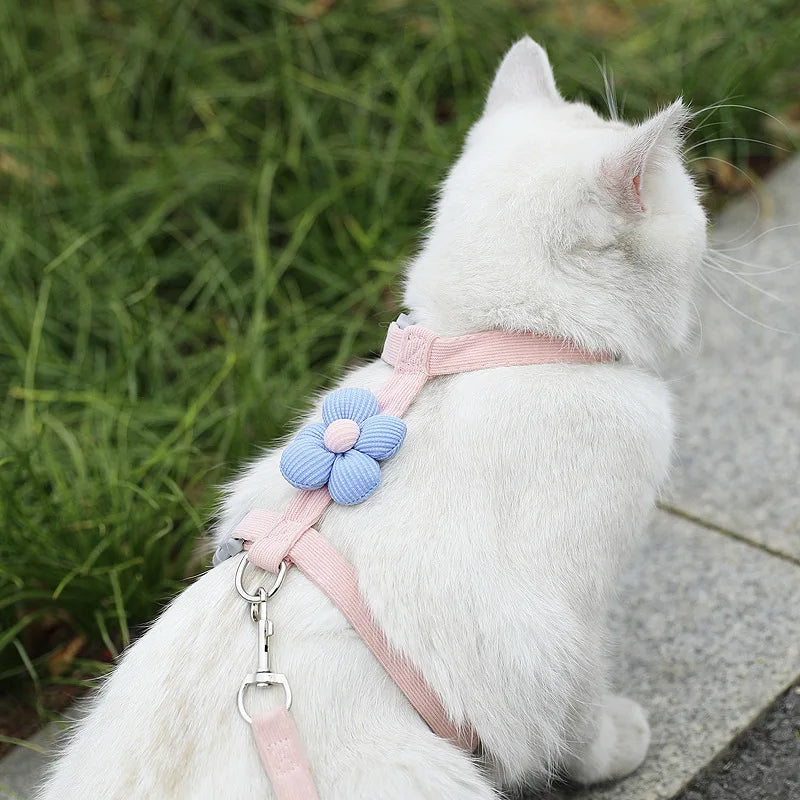 Ensemble harnais et laisse pour chat et petit chien