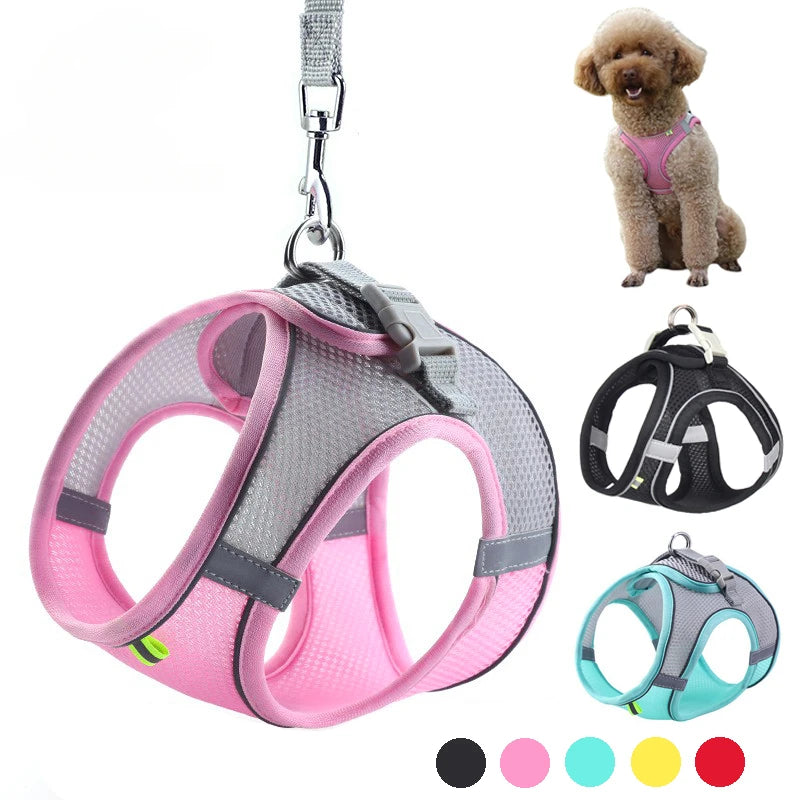 Ensemble harnais ajustable pour chiot et chat