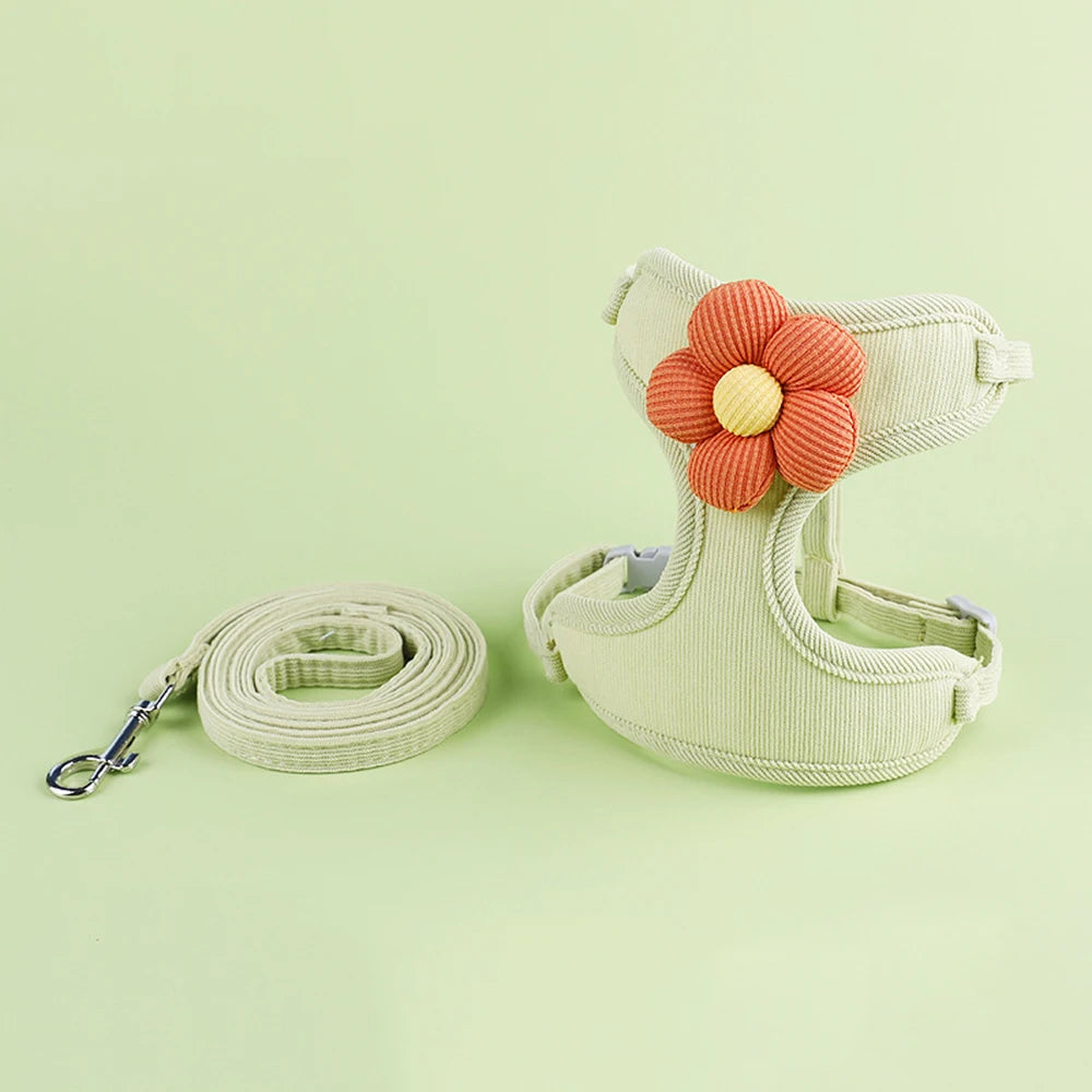 Ensemble harnais et laisse pour chat et petit chien
