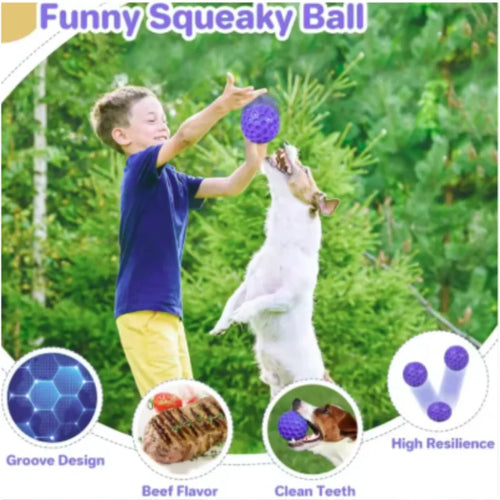 Balle interactive indestructible en caoutchouc pour chien