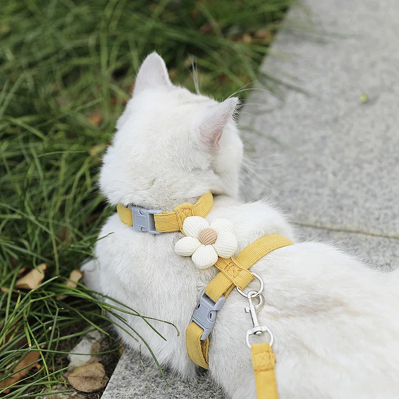 Ensemble harnais et laisse pour chat et petit chien