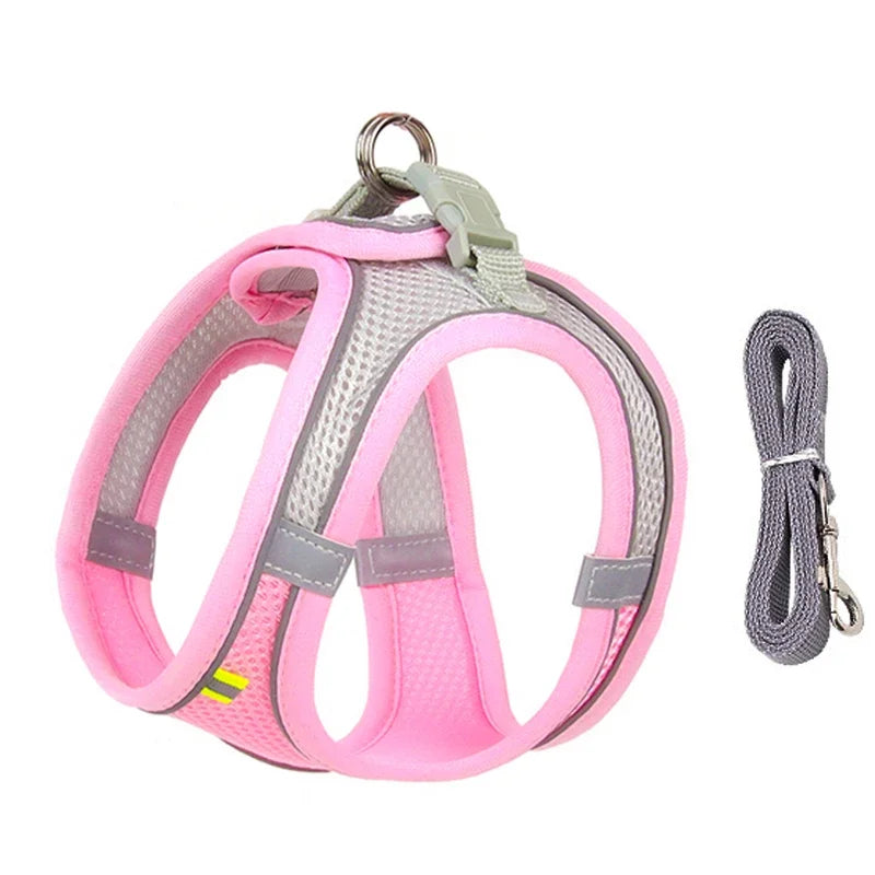 Ensemble harnais ajustable pour chiot et chat