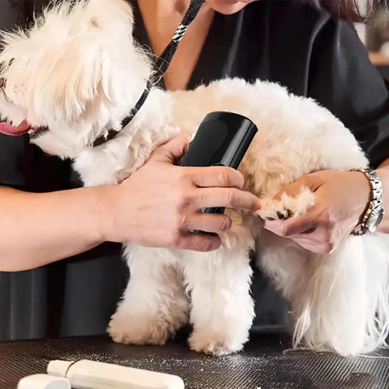 Brosse multifonctionnelle de toilettage pour chien et chat
