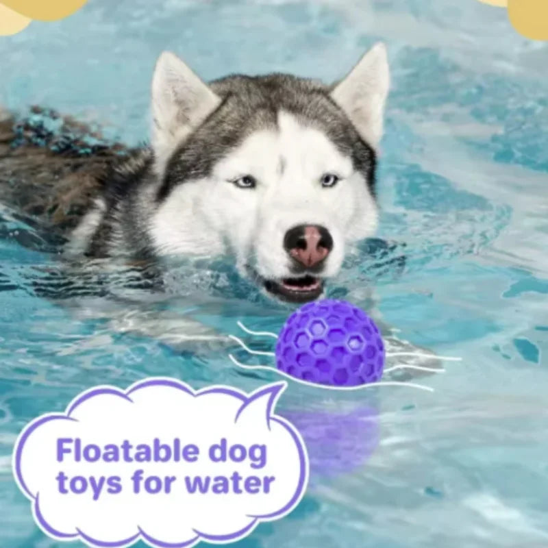 Balle interactive indestructible en caoutchouc pour chien