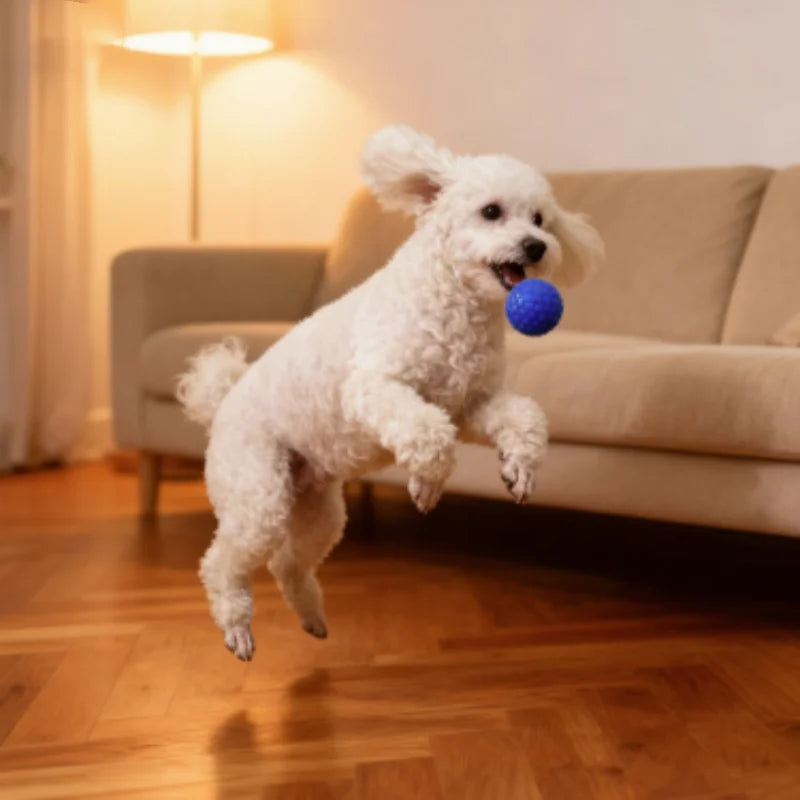 Balle interactive indestructible en caoutchouc pour chien