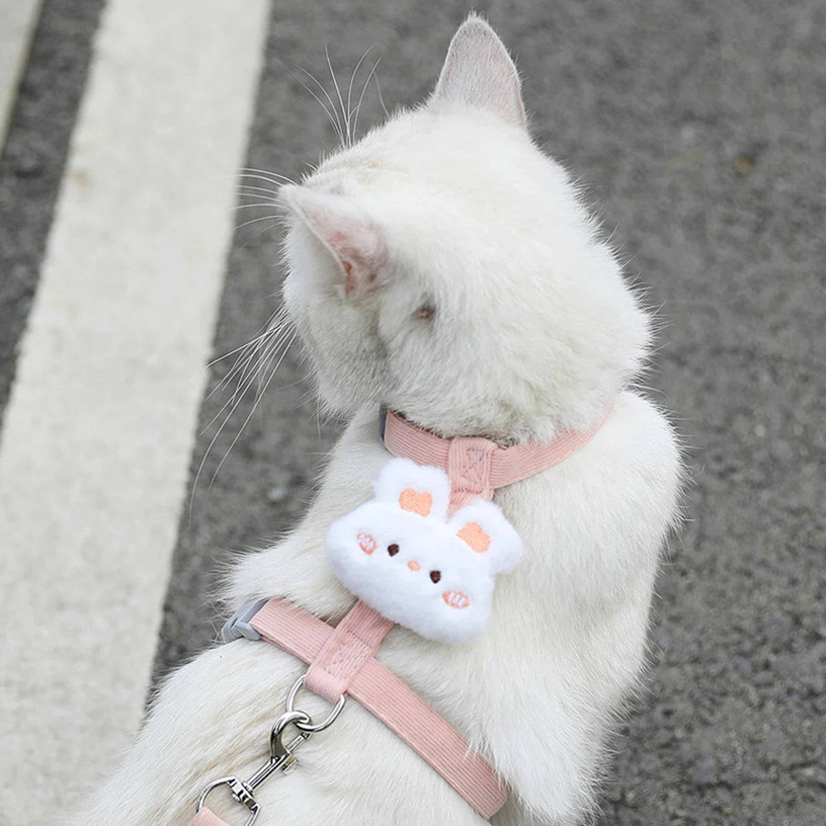Ensemble harnais et laisse pour chat et petit chien