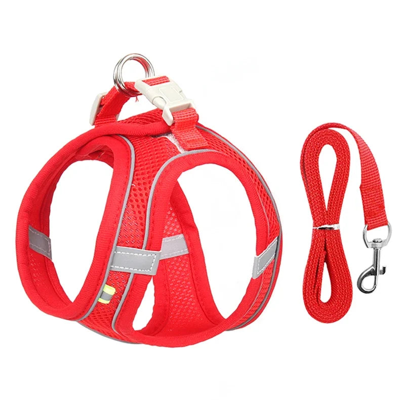 Ensemble harnais ajustable pour chiot et chat