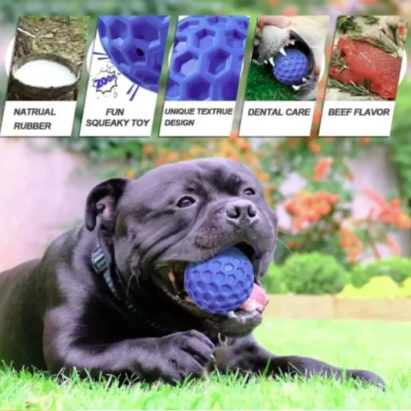Balle interactive indestructible en caoutchouc pour chien