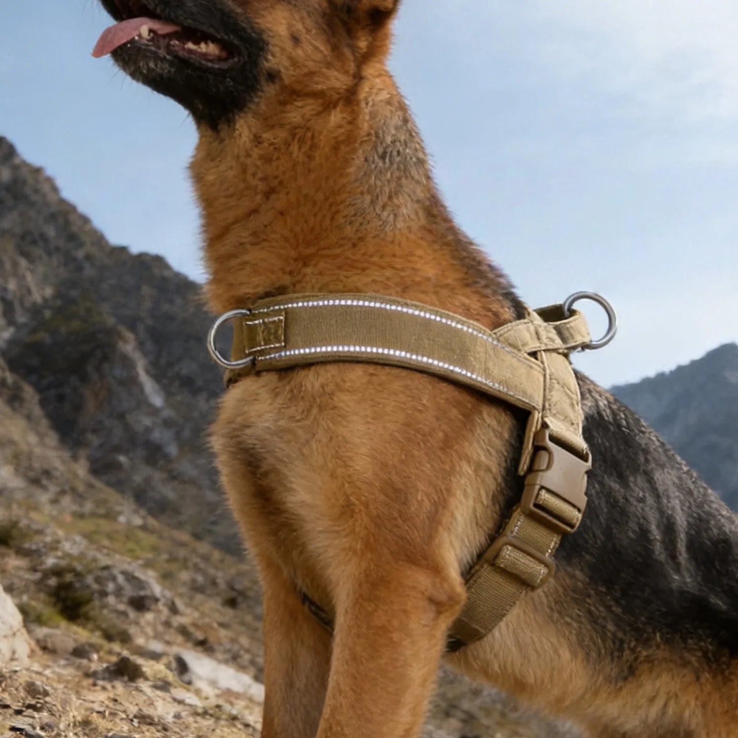 Harnais tactique anti-traction pour grand chien