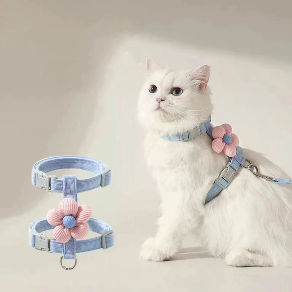 Ensemble harnais et laisse pour chat et petit chien