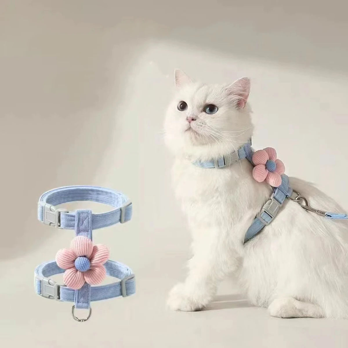Ensemble harnais et laisse pour chat et petit chien
