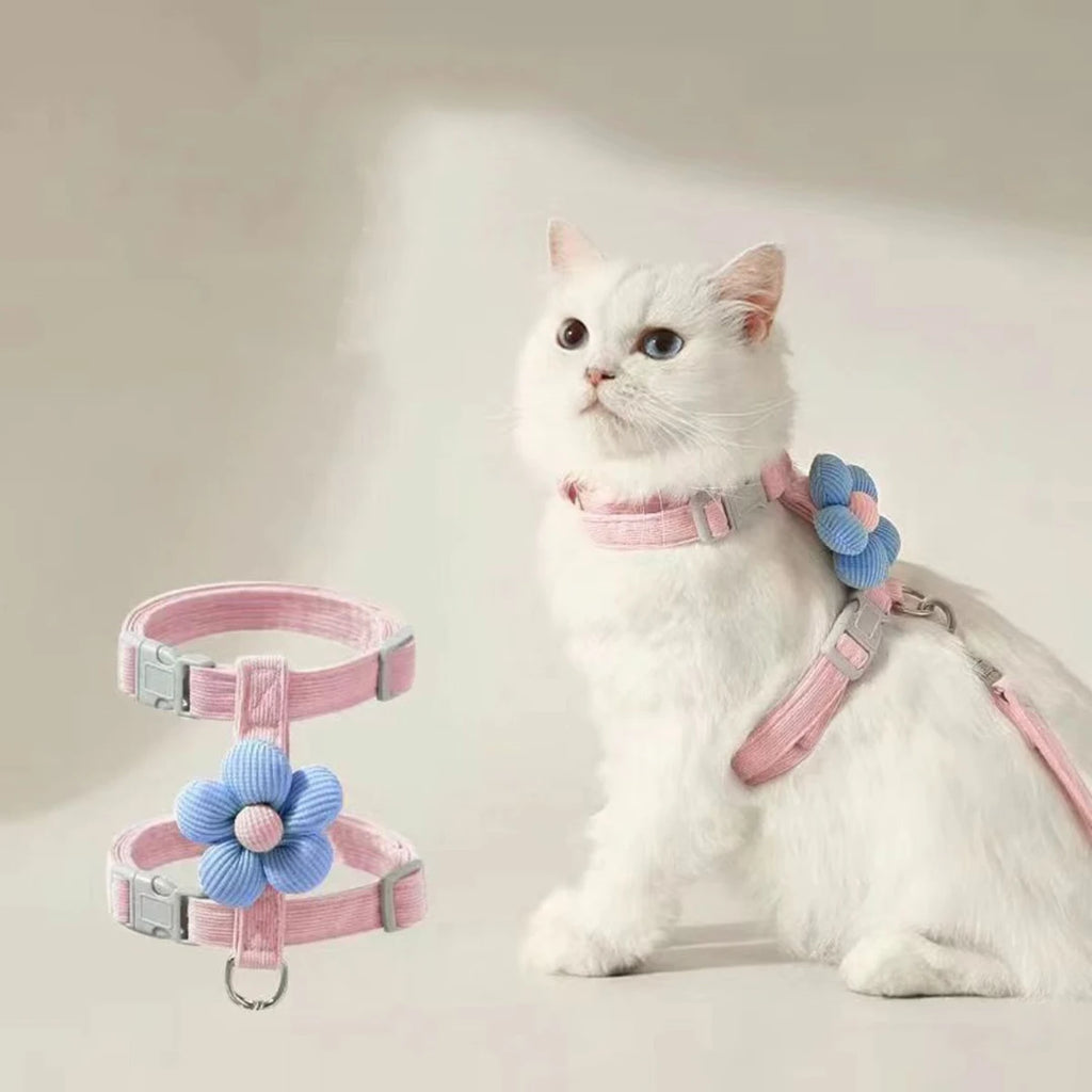 Ensemble harnais et laisse pour chat et petit chien
