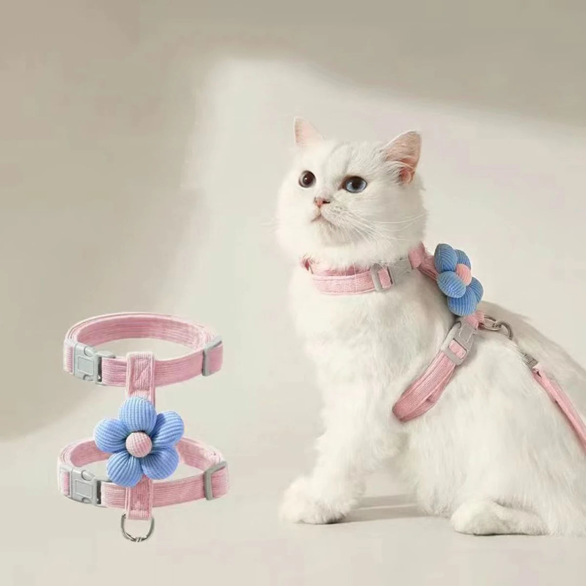 Ensemble harnais et laisse pour chat et petit chien