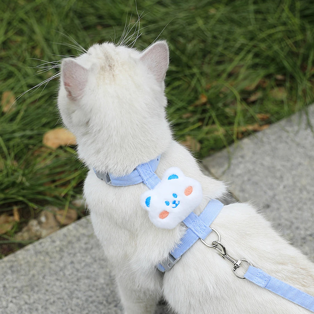 Ensemble harnais et laisse pour chat et petit chien