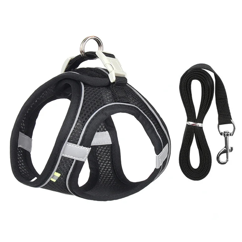Ensemble harnais ajustable pour chiot et chat
