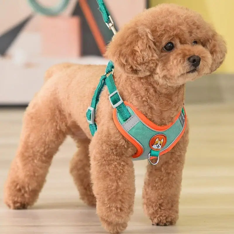 Harnais réfléchissant anti-traction avec laisse pour chien et chat