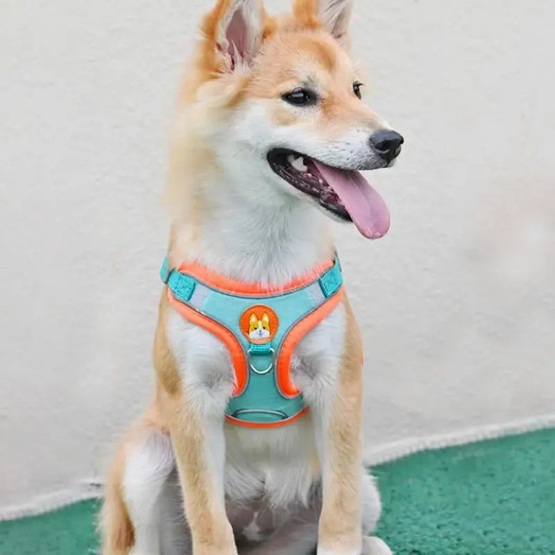 Harnais réfléchissant anti-traction avec laisse pour chien et chat