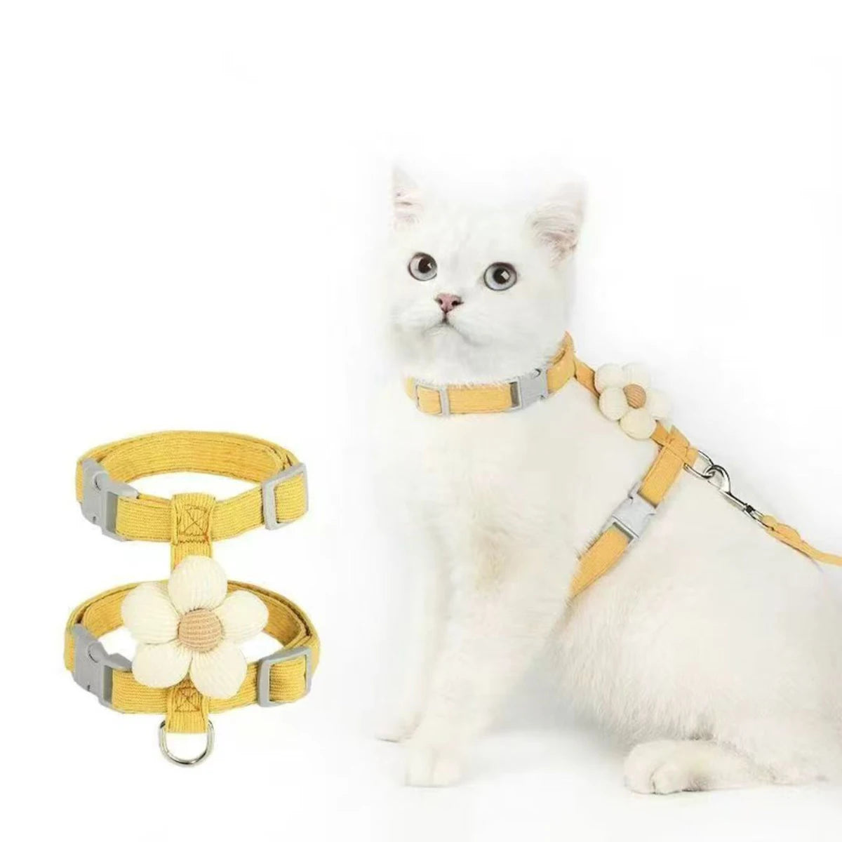 Ensemble harnais et laisse pour chat et petit chien